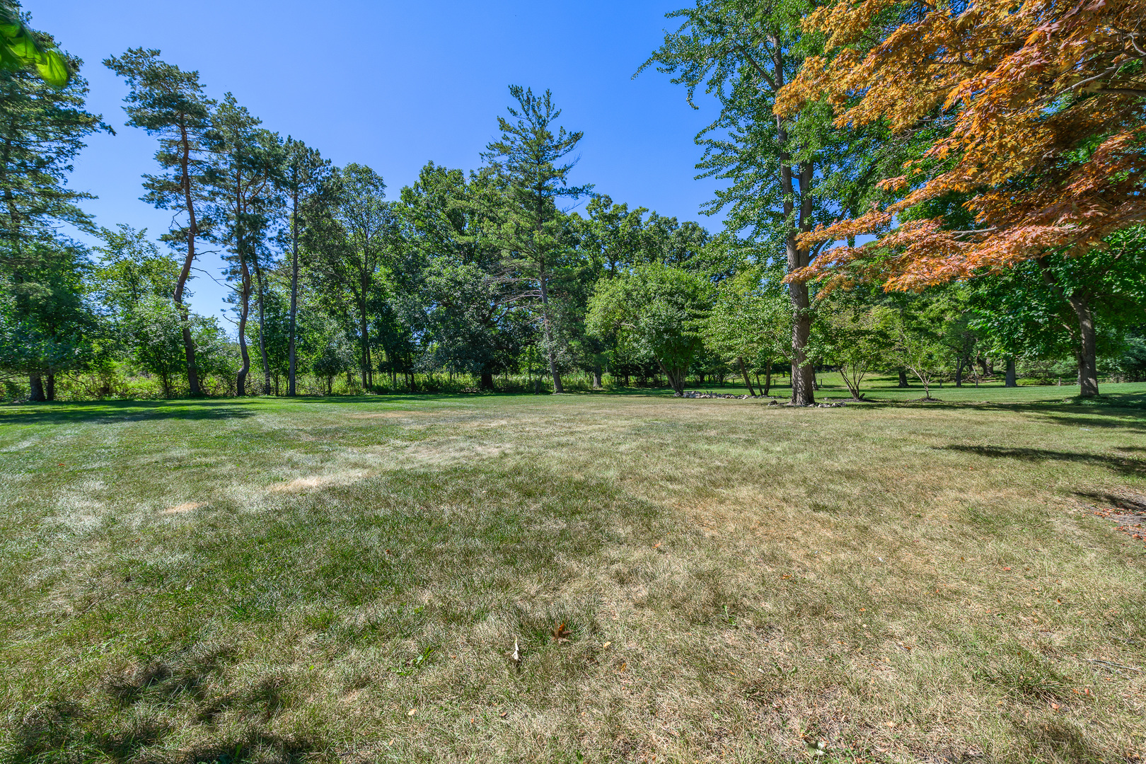 725 Becker Road Glenview, IL 60025 - Photo 32 of 38 a view of a field with trees in the background