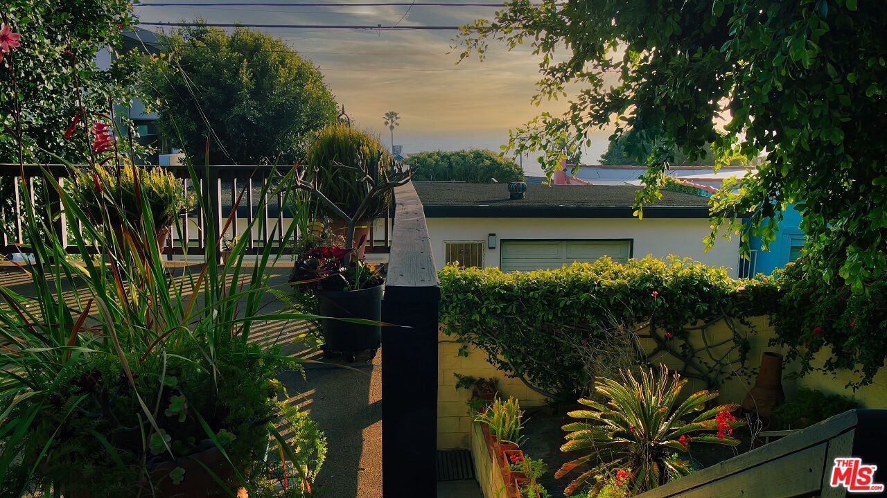 7505 Rindge Avenue Playa del Rey, CA 90293 - Photo 6 of 29 a view of a garden