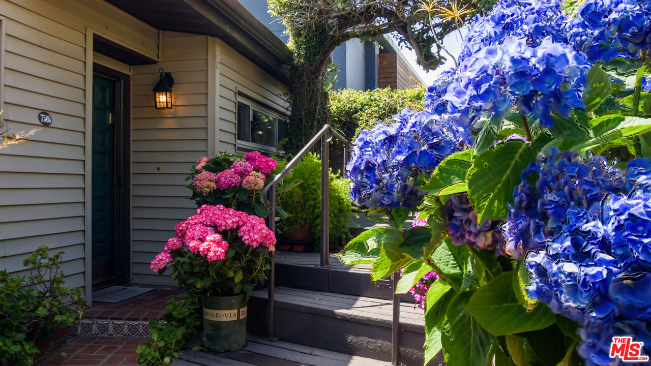 7505 Rindge Avenue Playa del Rey, CA 90293 - Photo 9 of 29 a flower garden