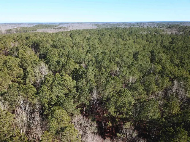 an aerial view of forest