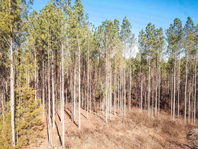 a view of a backyard of the house