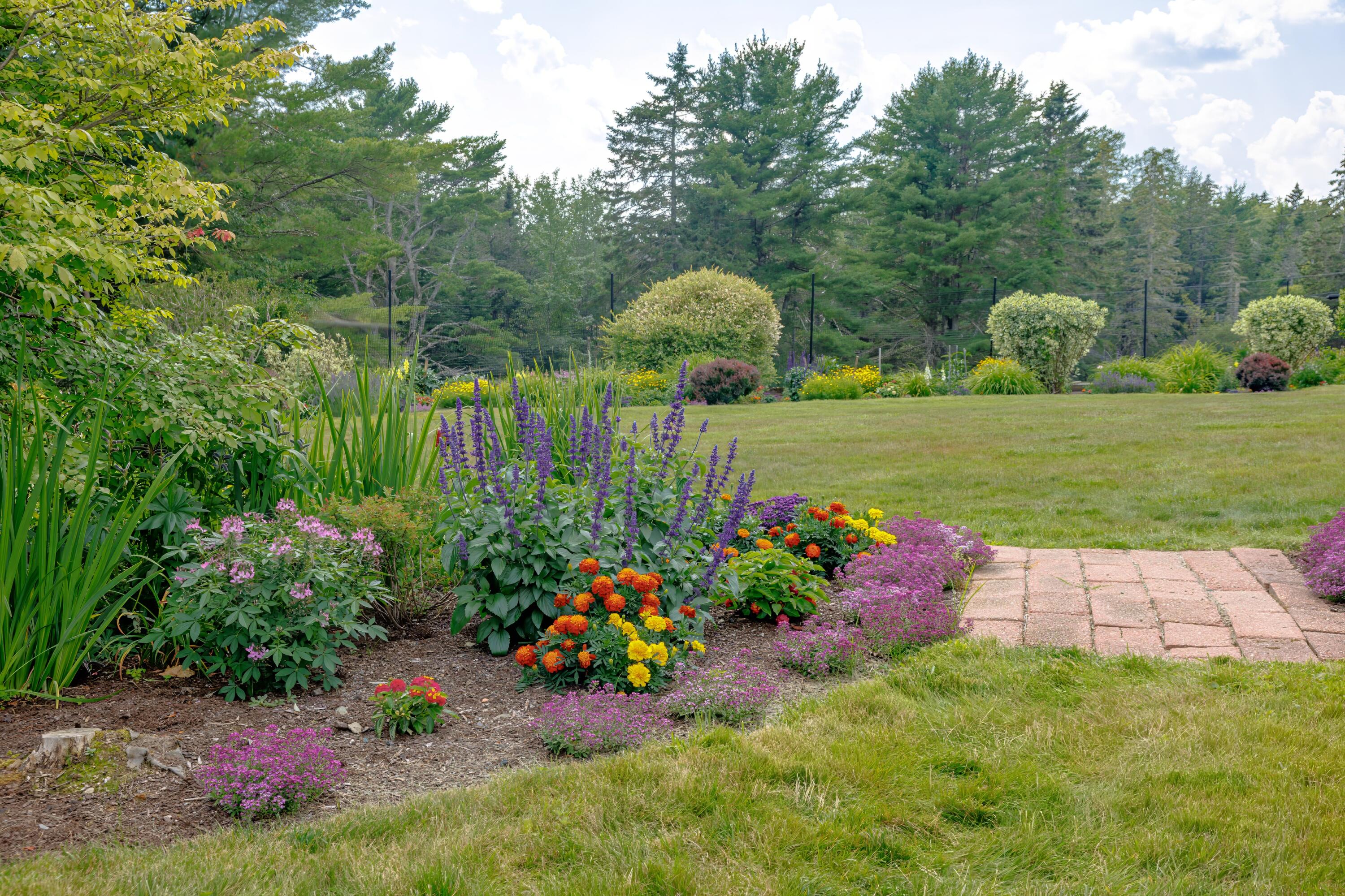 268 Point Road Hancock, ME 04640 - Photo 78 of 98 96-268 Point Road-DTP