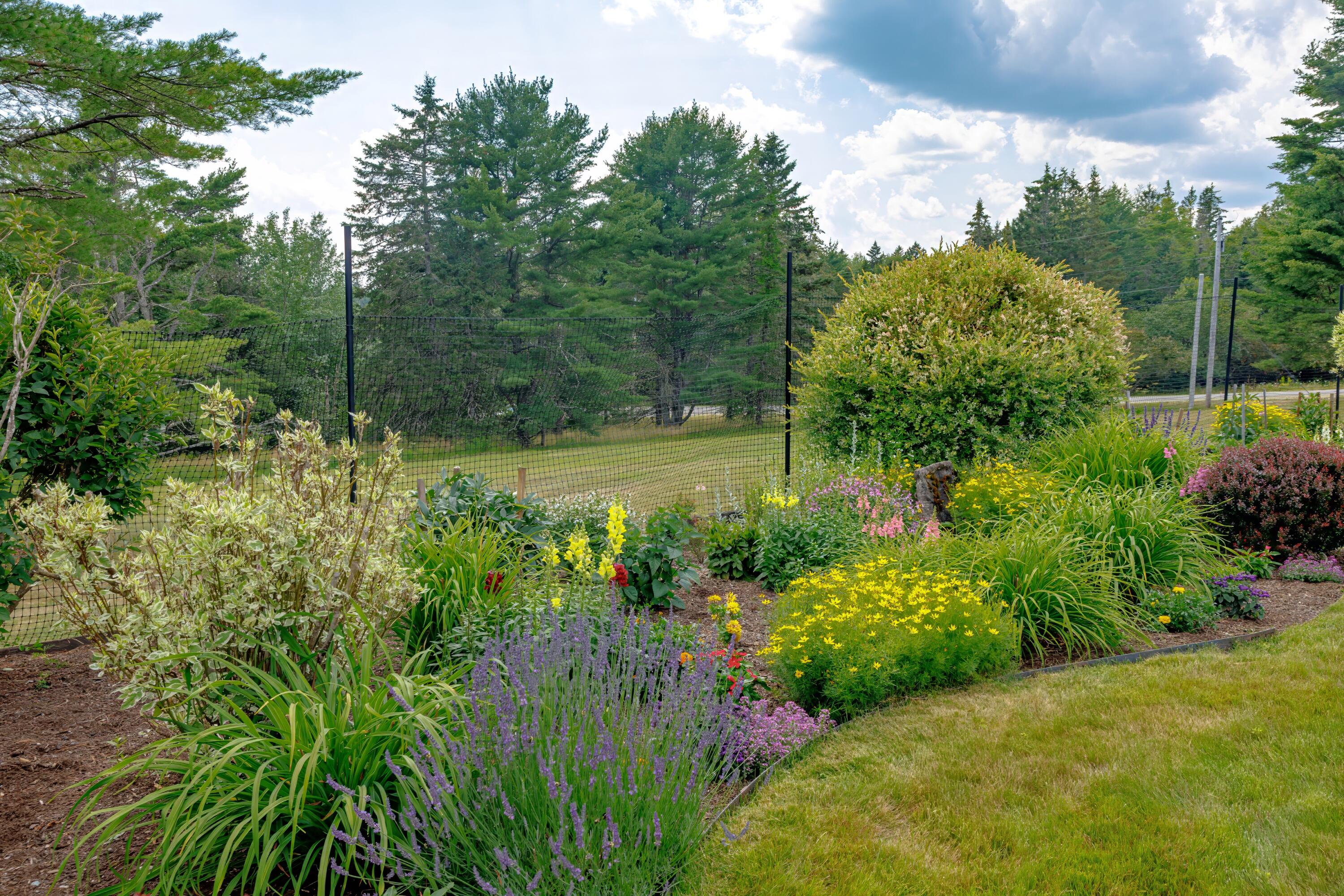 268 Point Road Hancock, ME 04640 - Photo 80 of 98 98-268 Point Road-DTP