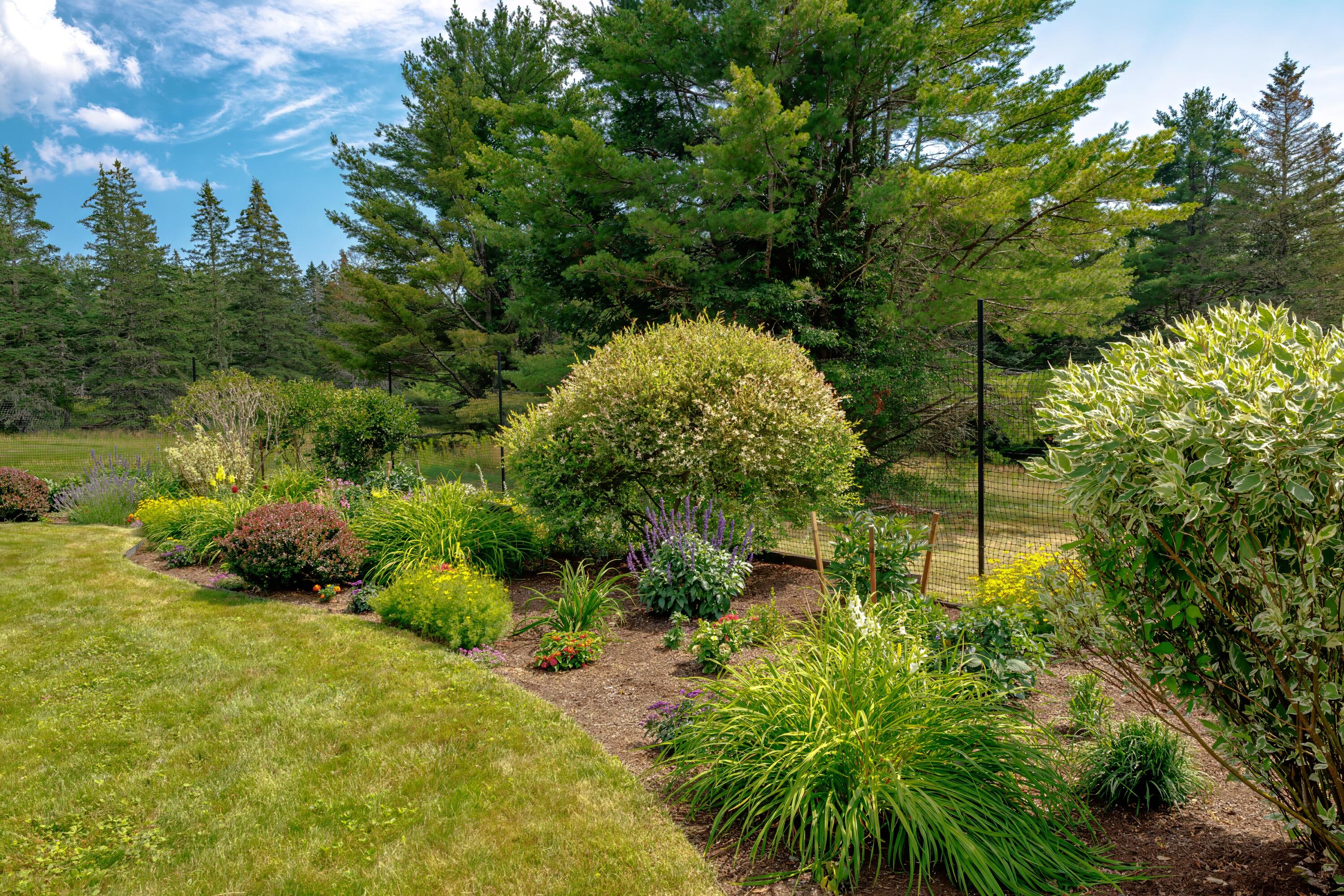 268 Point Road Hancock, ME 04640 - Photo 81 of 98 99-268 Point Road-DTP