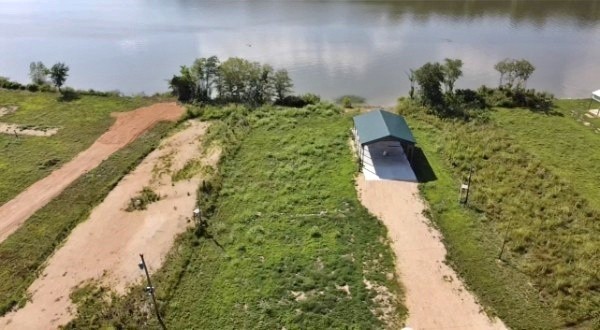 2781 Hardin Bottom Road Clifton, TN 38425 - Photo 7 of 10 a view of a yard with plants