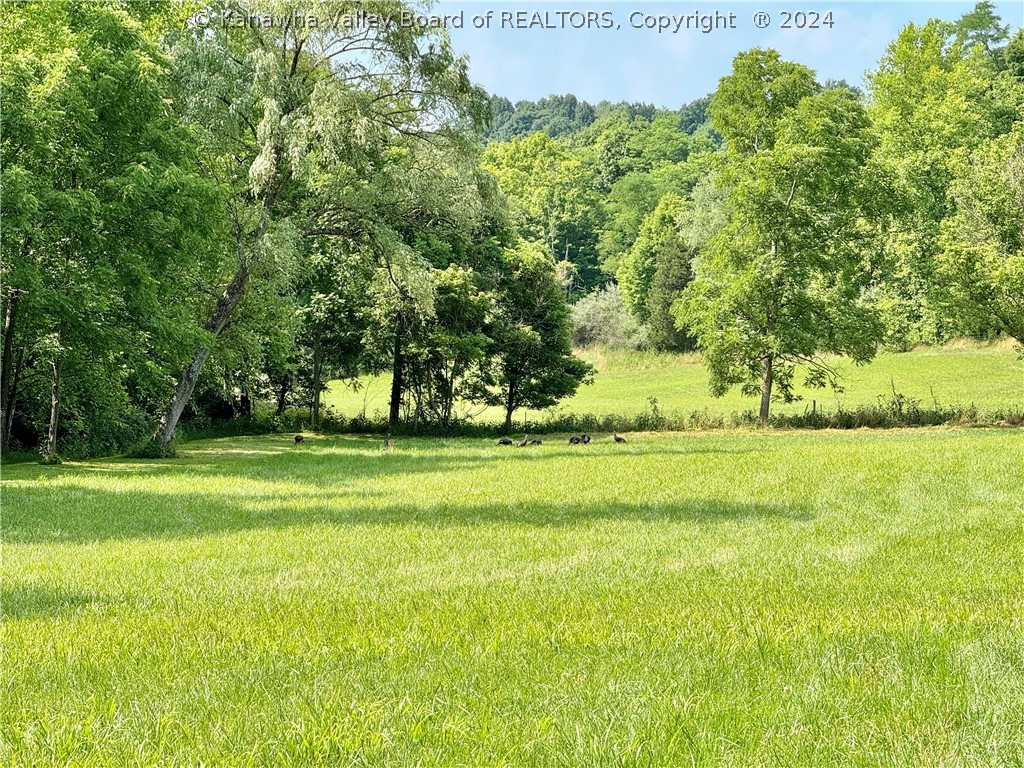 895 Rayburn Road Point Pleasant, WV 25550 - Photo 9 of 50 Gallery Image 9