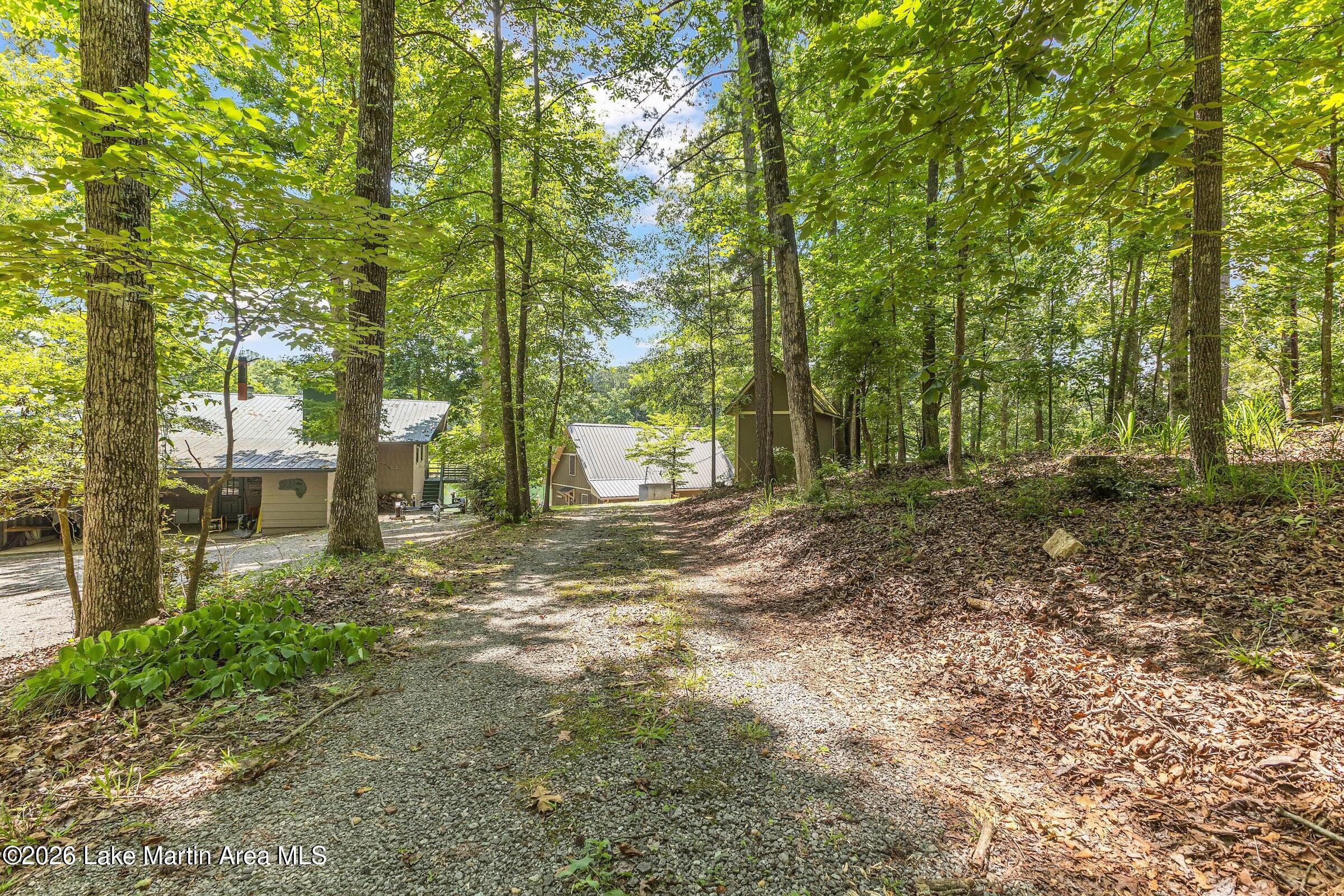 144 Lee Lanier Road Eclectic, AL 36024 - Photo 16 of 21 Gallery Image 16