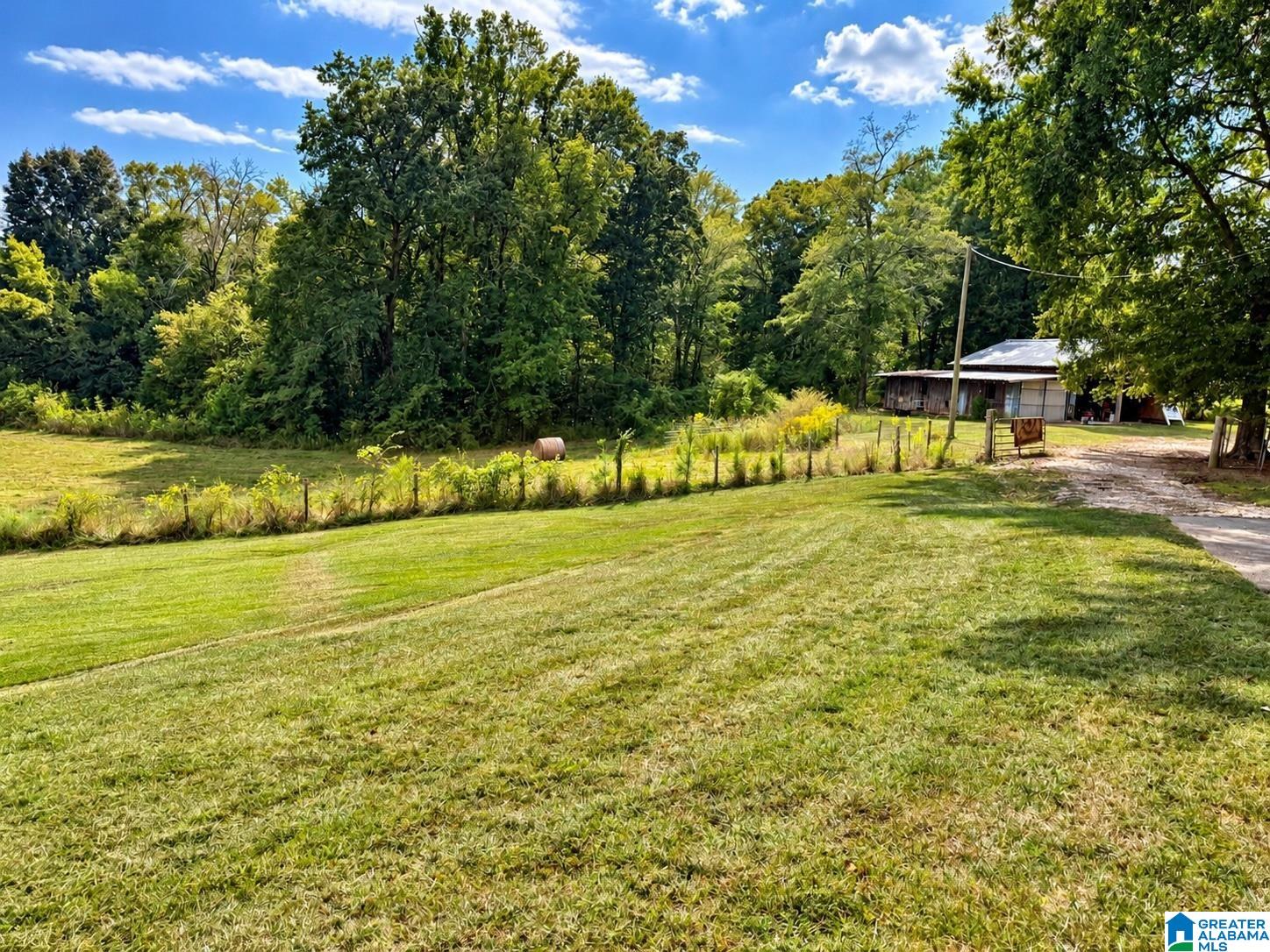 554 Chappell Road Piedmont, AL 36272 - Photo 65 of 72 Gallery Image 65
