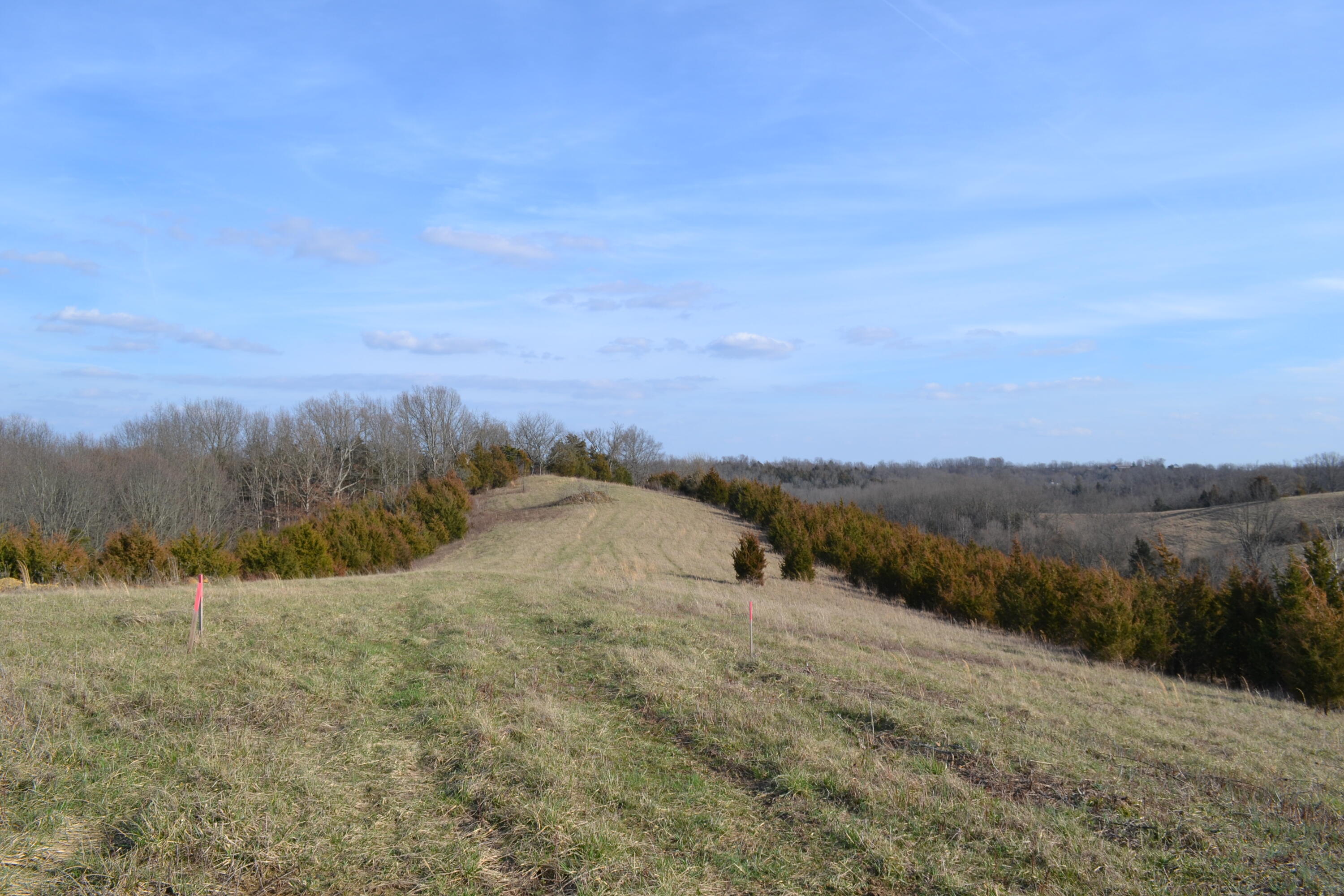 1214 Hogg Ridge Road Falmouth, KY 41040 - Photo 4 of 13 Gallery Image 4