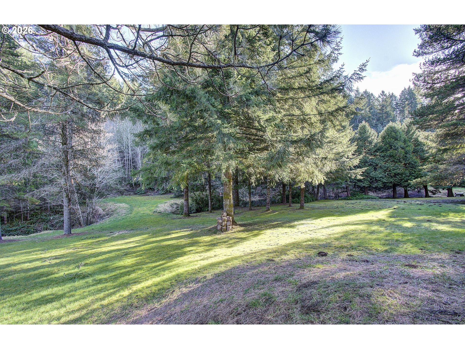 41615 Northeast Cedar Ridge Road Amboy, WA 98601 - Photo 24 of 44 a view of swimming pool with a yard