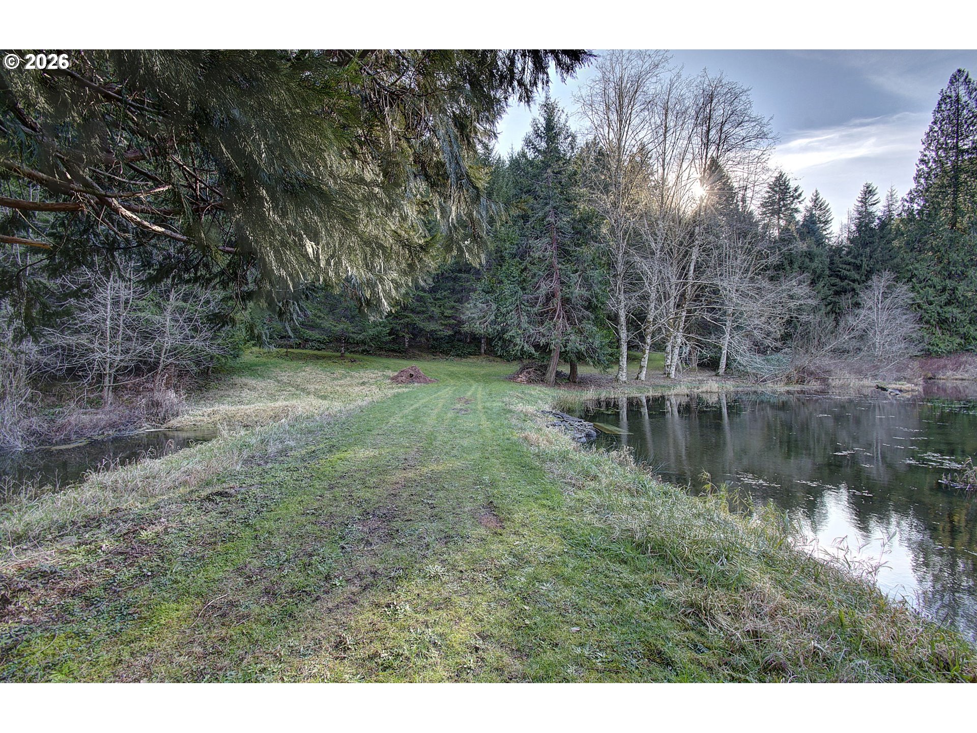 41615 Northeast Cedar Ridge Road Amboy, WA 98601 - Photo 28 of 44 a view of a yard with a tree