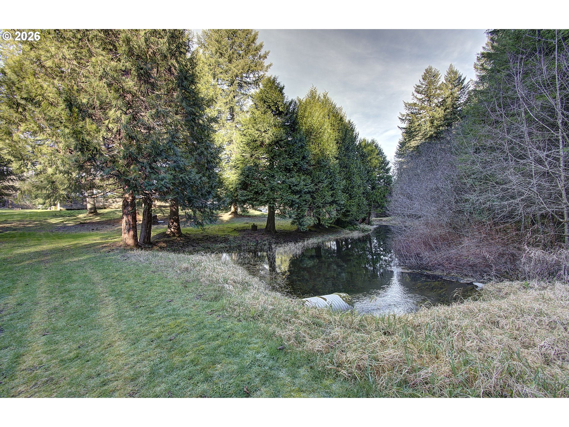 41615 Northeast Cedar Ridge Road Amboy, WA 98601 - Photo 30 of 44 a view of outdoor space and yard