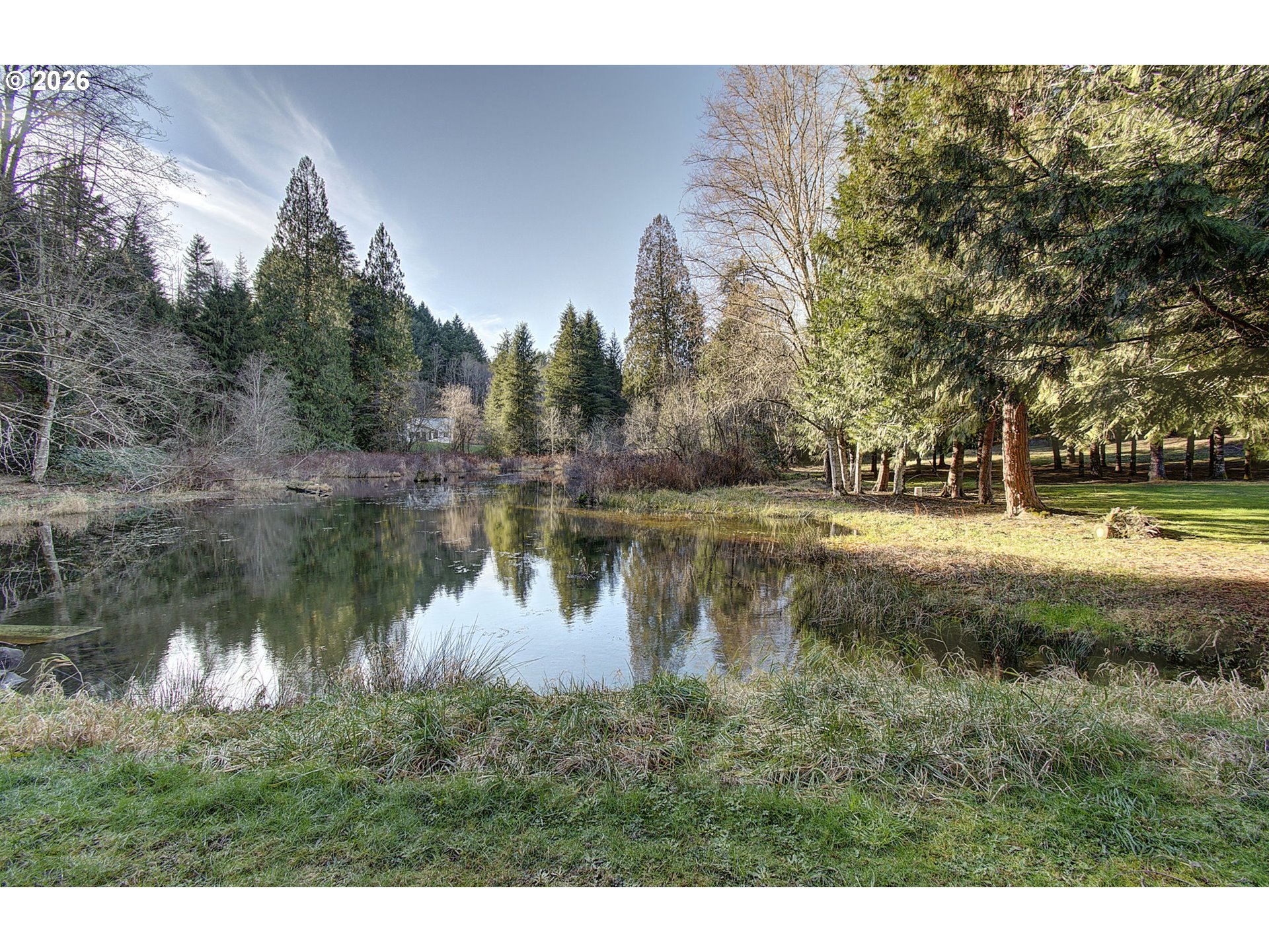 41615 Northeast Cedar Ridge Road Amboy, WA 98601 - Photo 31 of 44 a view of a lake with houses