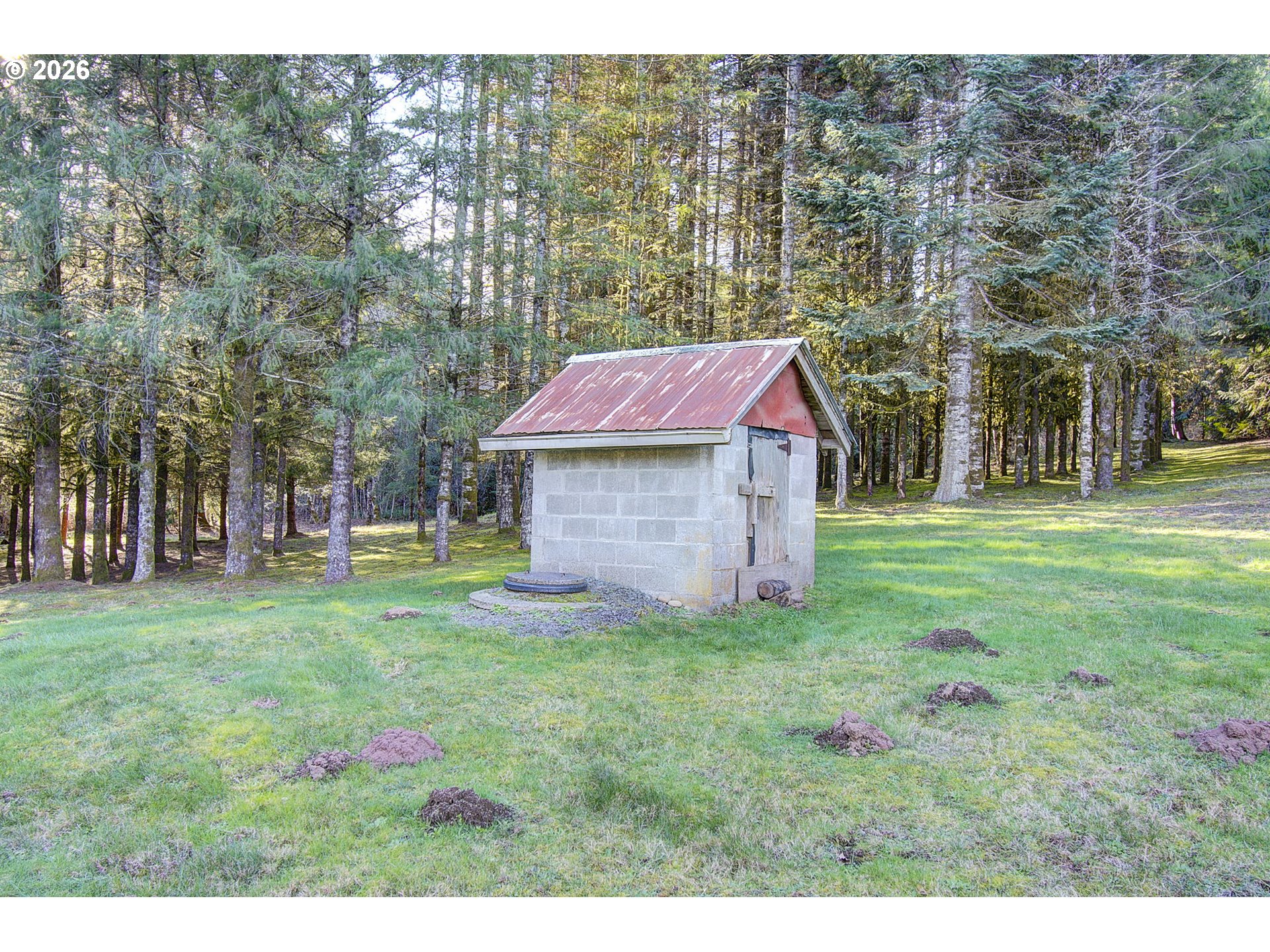 41615 Northeast Cedar Ridge Road Amboy, WA 98601 - Photo 38 of 44 a view of a house with a yard