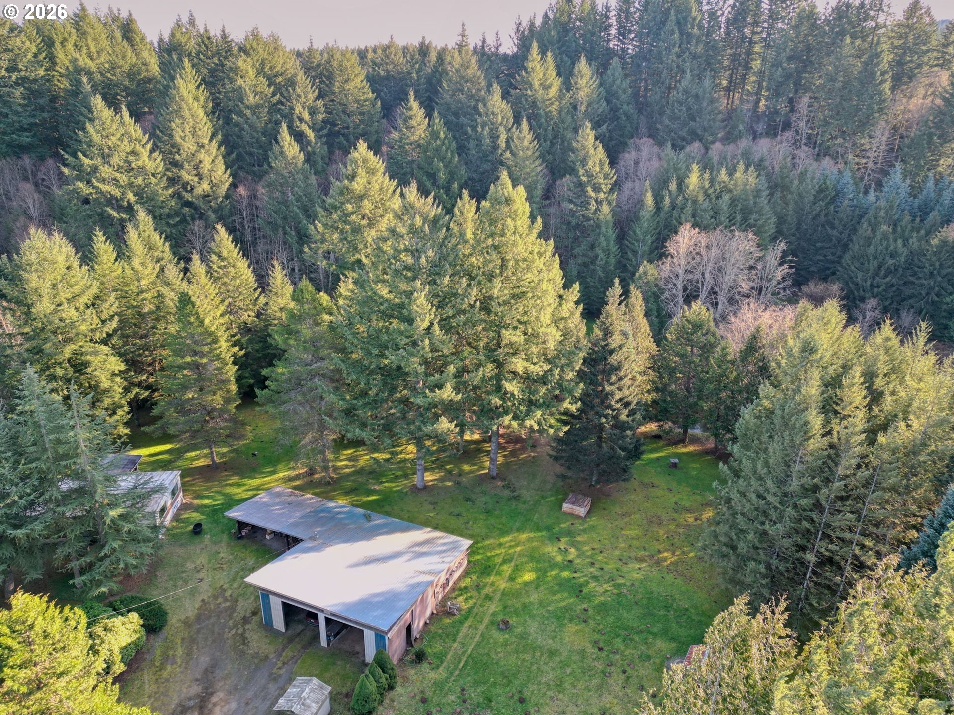 41615 Northeast Cedar Ridge Road Amboy, WA 98601 - Photo 41 of 44 a view of a backyard with plants and a lake view