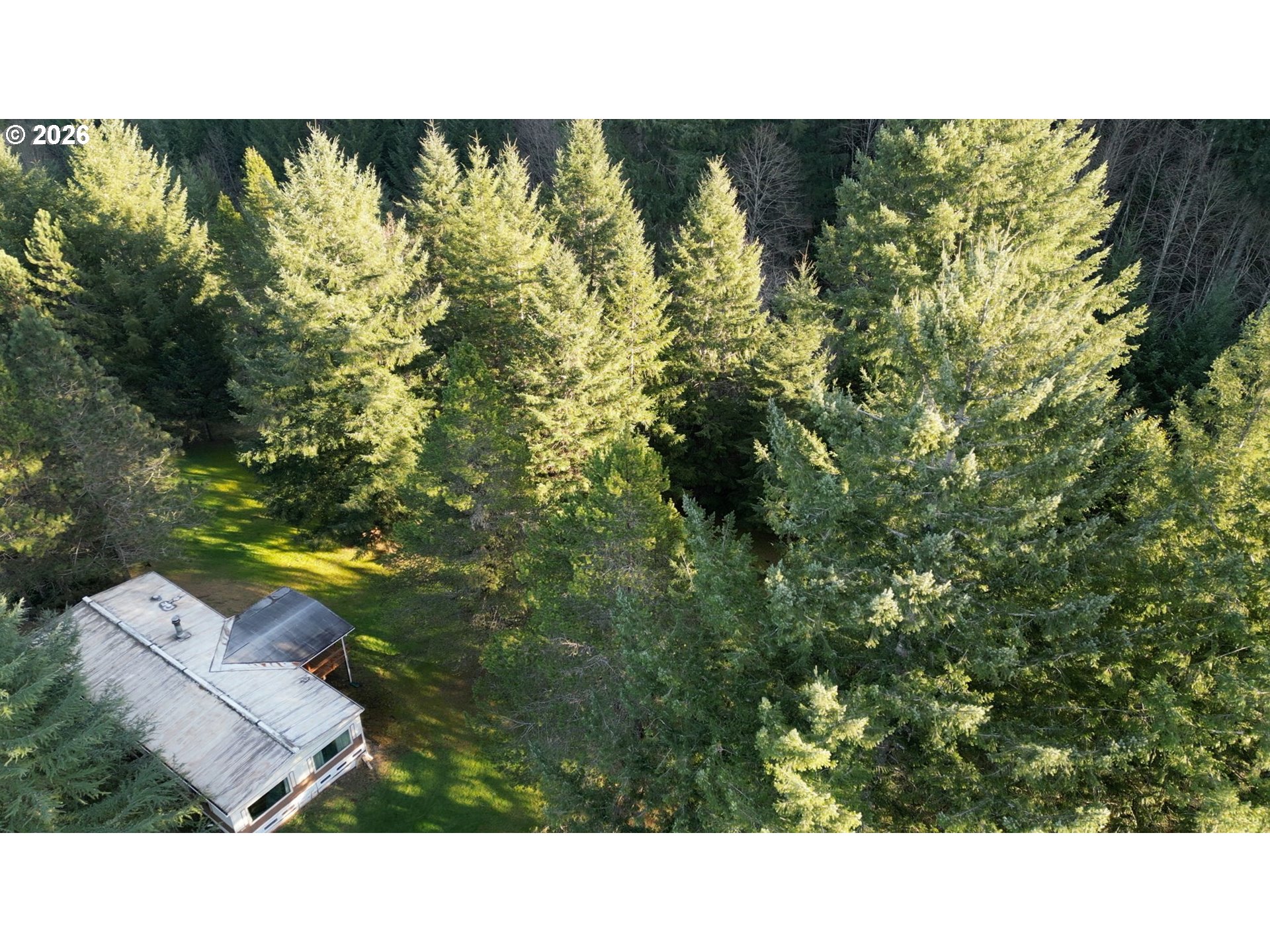 41615 Northeast Cedar Ridge Road Amboy, WA 98601 - Photo 43 of 44 a black and white photo of a green field