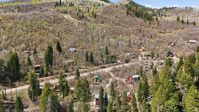 2450 Snake Creek Road Midway, UT 84049 - Photo 32 of 34 Aerial view of a forest and a mountainous background