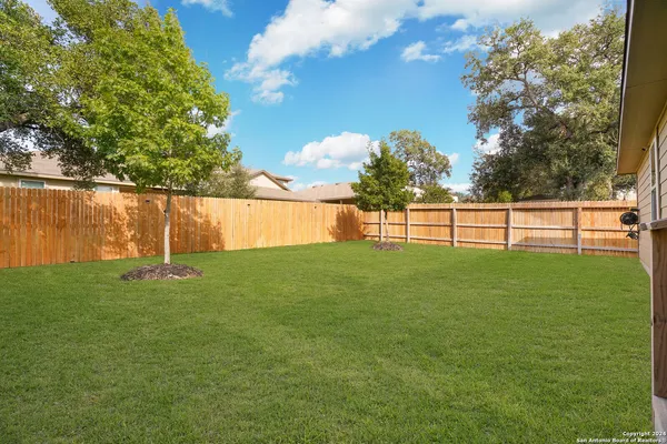 a view of a garden with a tree in the background