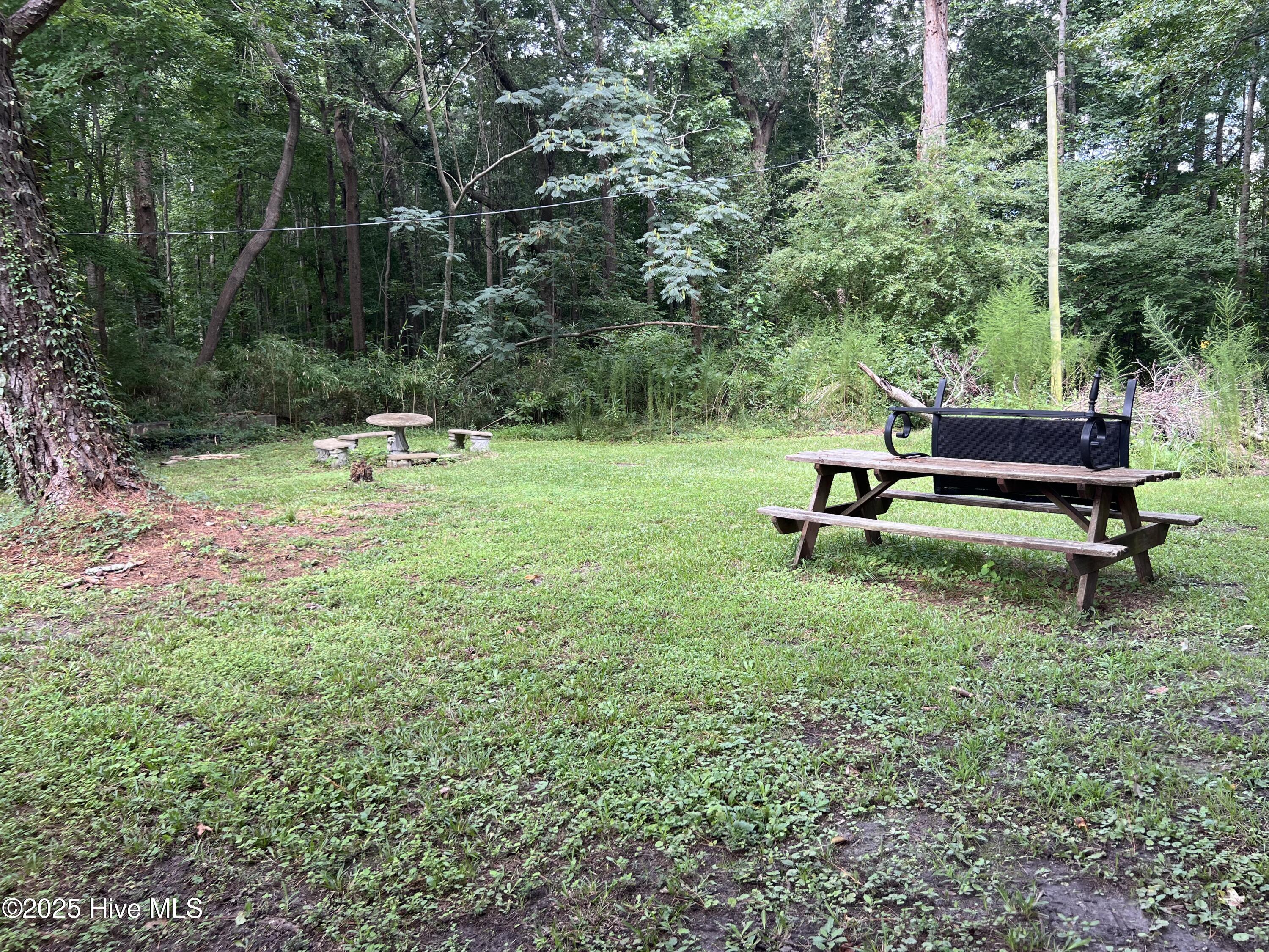 215 Shannonhouse Road Edenton, NC 27932 - Photo 15 of 18 Backyard