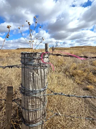 $99,500 | 330 Major Reed Road, Pampa, TX 79065