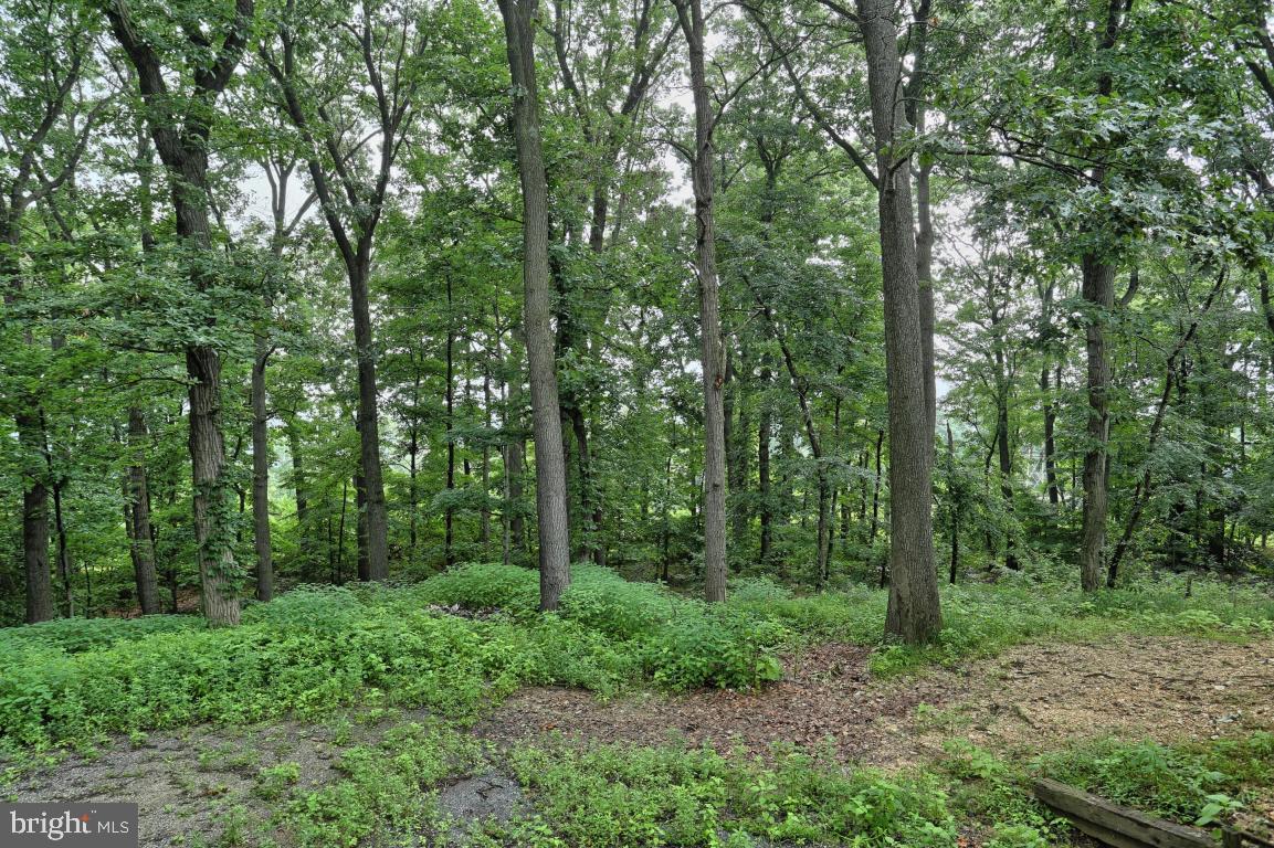 4469 Fairview Road Columbia, PA 17512 - Photo 17 of 30 Gallery Image 17