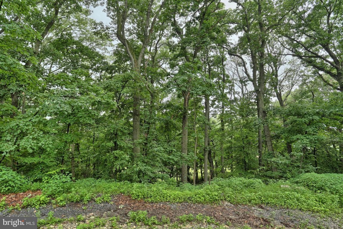 4469 Fairview Road Columbia, PA 17512 - Photo 18 of 30 Gallery Image 18