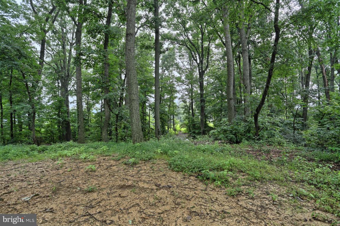 4469 Fairview Road Columbia, PA 17512 - Photo 3 of 30 Gallery Image 3