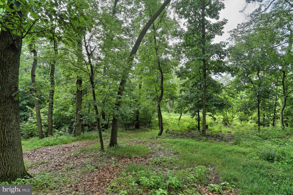 4469 Fairview Road Columbia, PA 17512 - Photo 28 of 30 Gallery Image 28