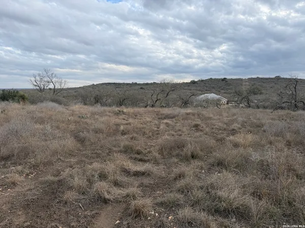 a view of a field with trees in the background
