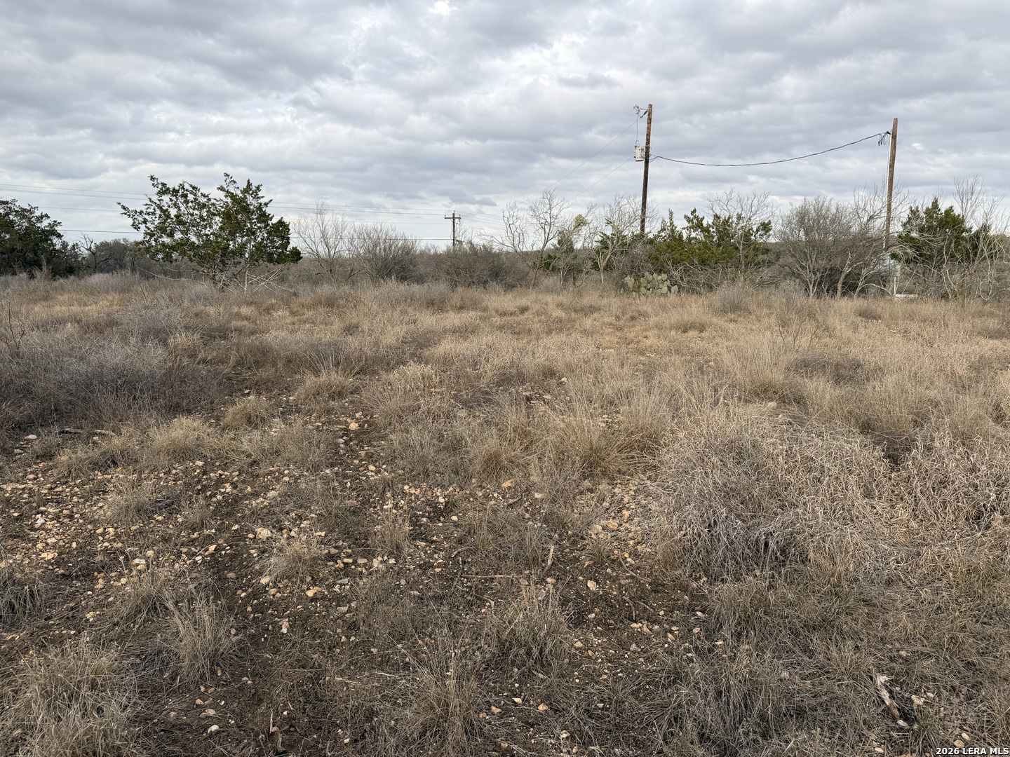 377 County Road 367 Hondo, TX 78861 - Photo 5 of 8 a view of a field with trees in the background