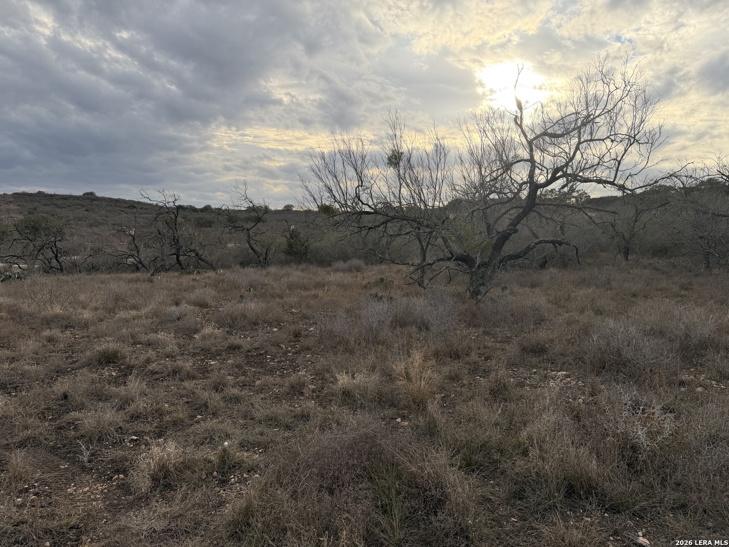 377 County Road 367 Hondo, TX 78861 - Photo 6 of 8 a view of a dry yard
