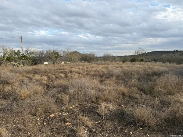 a view of a dry space with lots of trees in the background