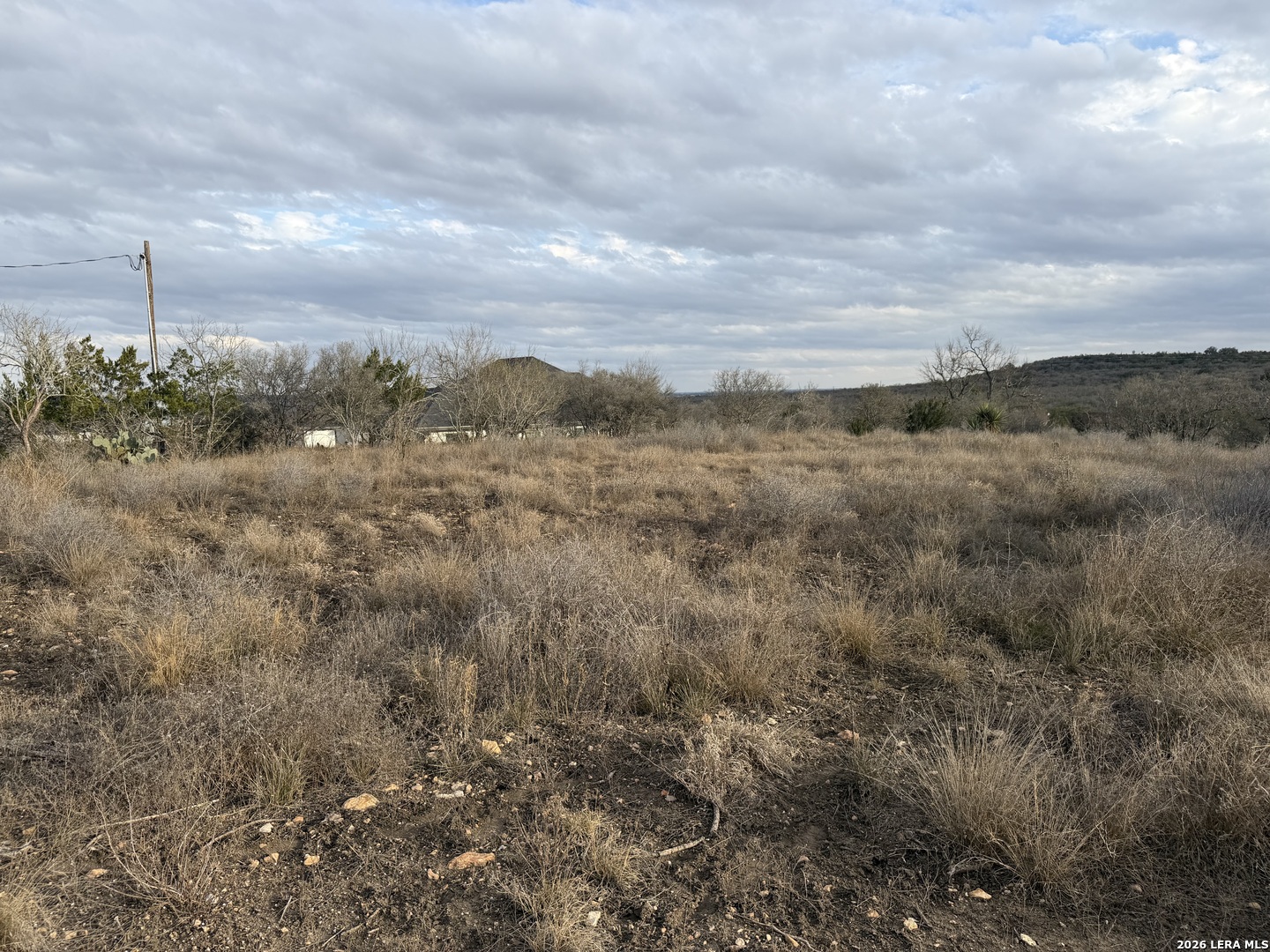 377 County Road 367 Hondo, TX 78861 - Photo 7 of 8 a view of a yard