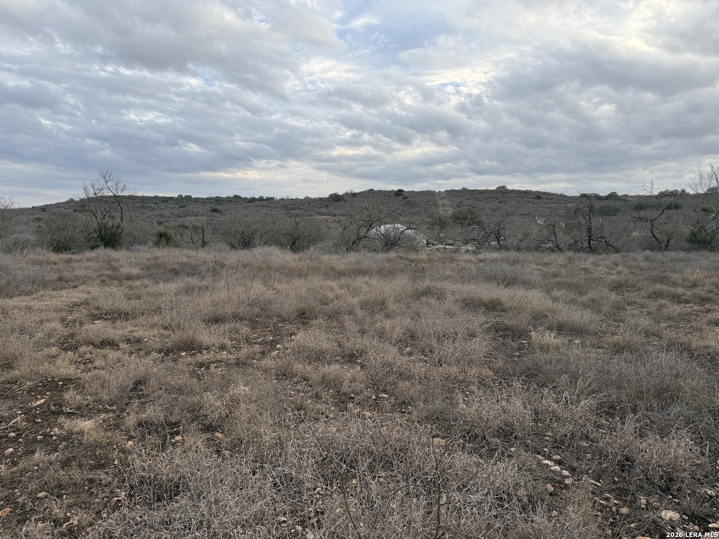 377 County Road 367 Hondo, TX 78861 - Photo 8 of 8 a view of a dry space with lots of trees in the background