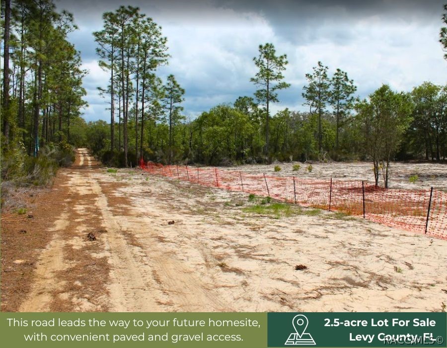 Tbd Northeast 56th Street Bronson, FL 32621 - Photo 14 of 26