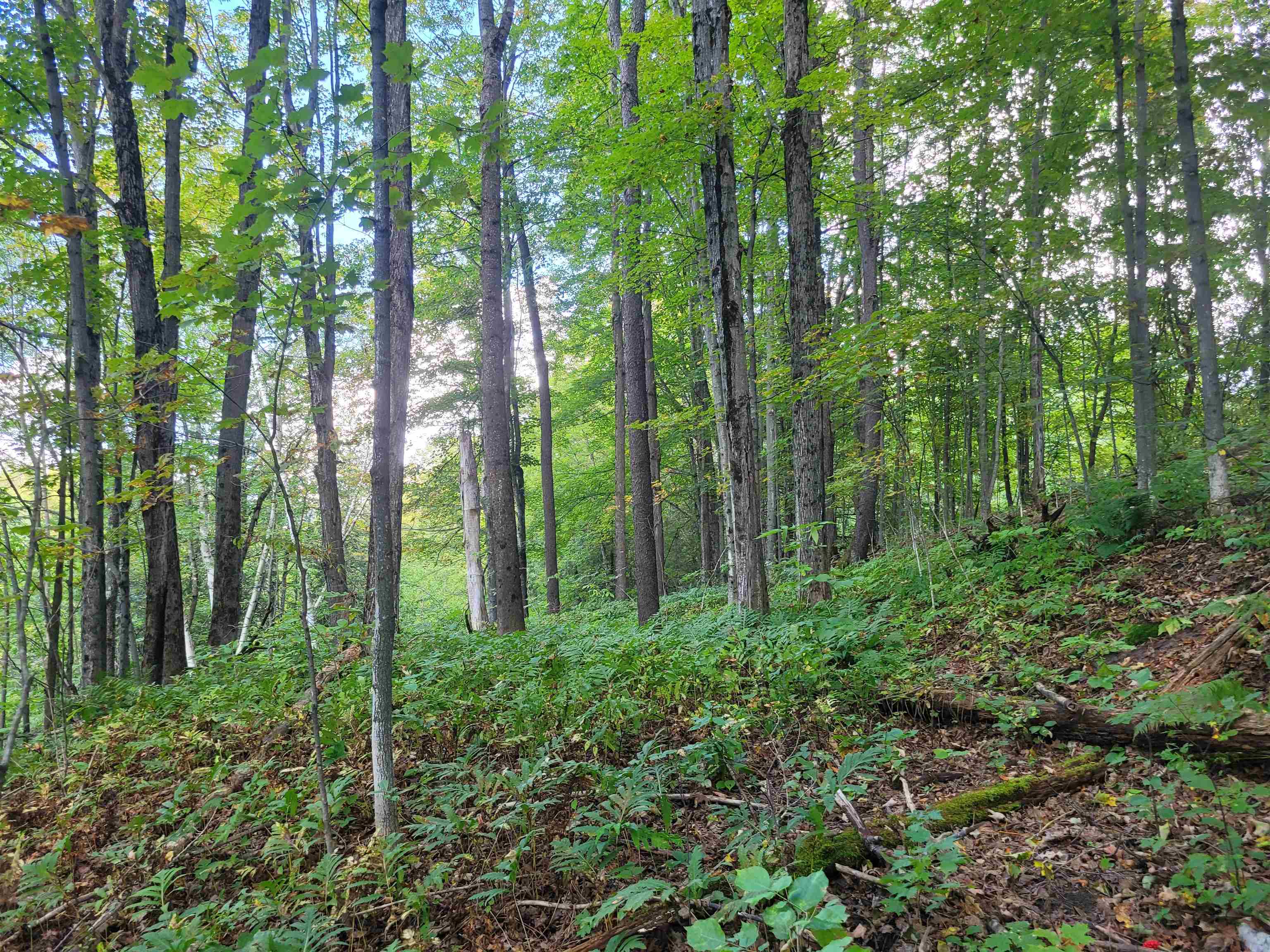 33 Mill Place Glover, VT 05839 - Photo 11 of 19