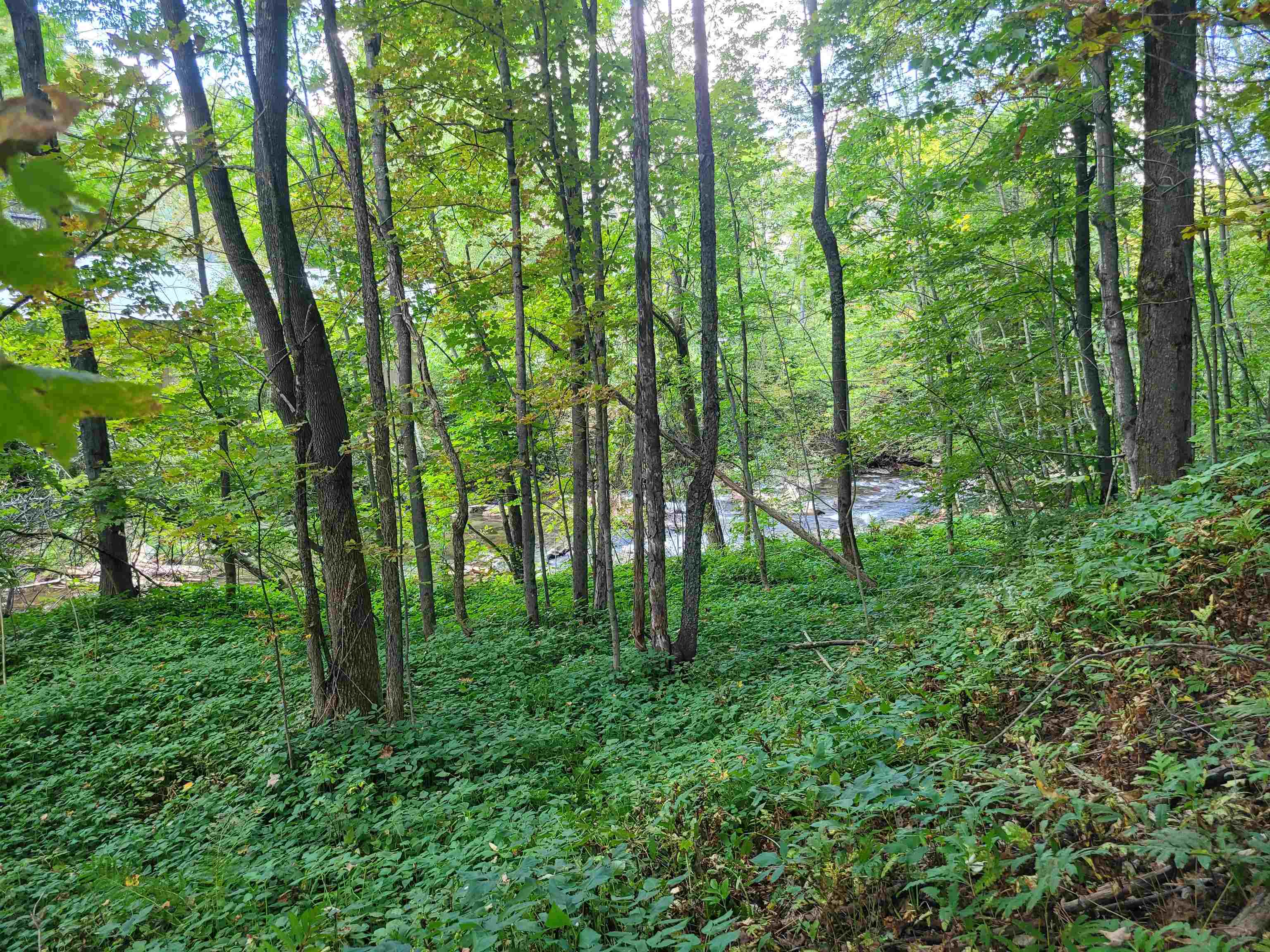 33 Mill Place Glover, VT 05839 - Photo 15 of 19