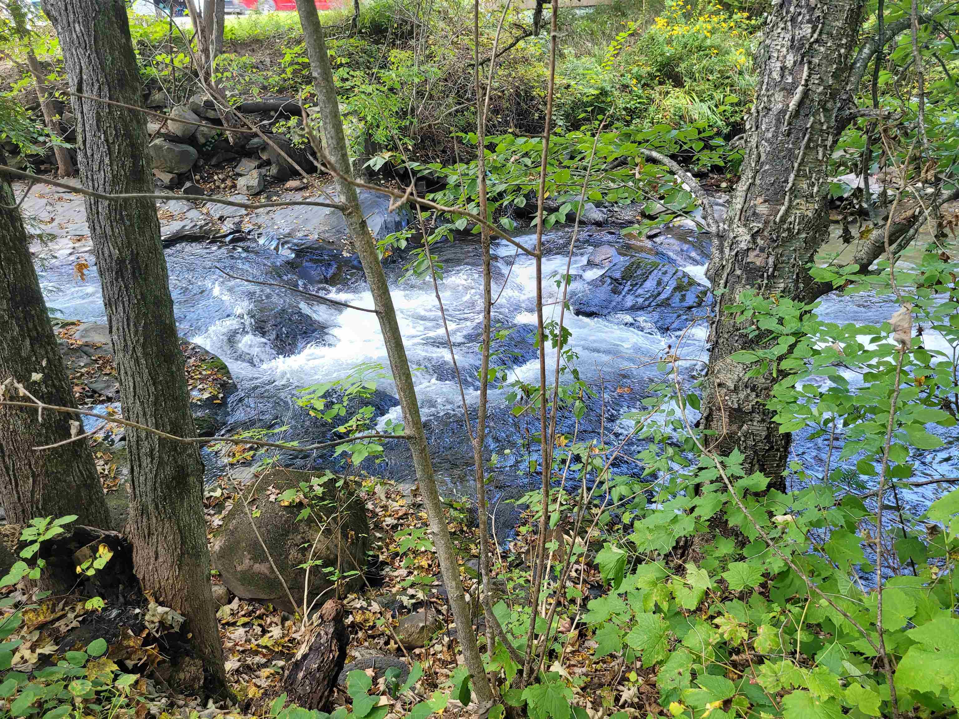 33 Mill Place Glover, VT 05839 - Photo 16 of 19