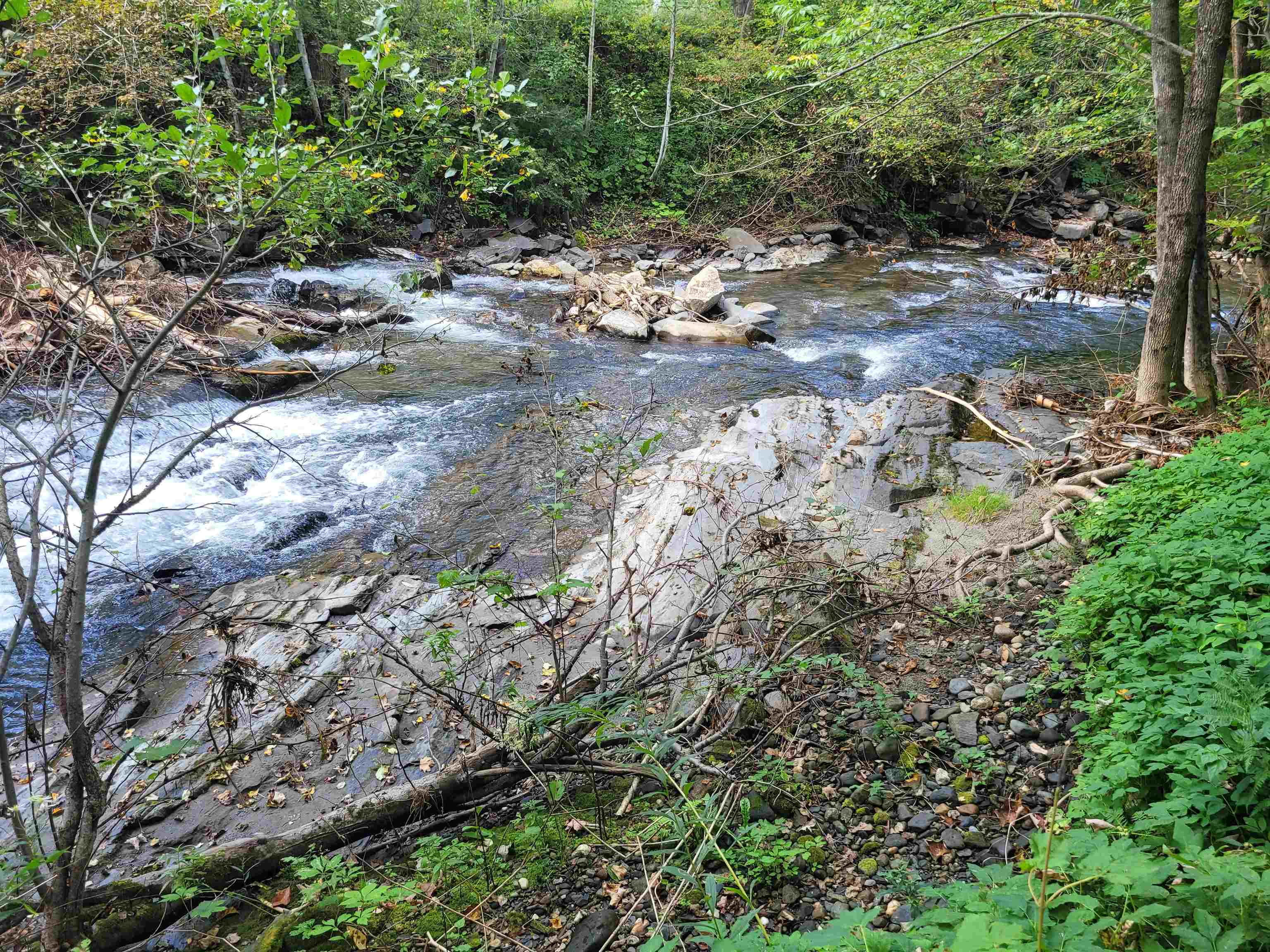 33 Mill Place Glover, VT 05839 - Photo 10 of 19