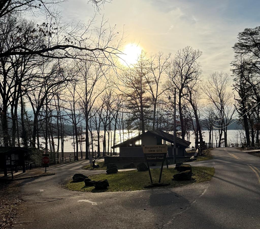 354 Ridgeview Circle Morganton, GA 30560 - Photo 10 of 10 a view of a park with large trees