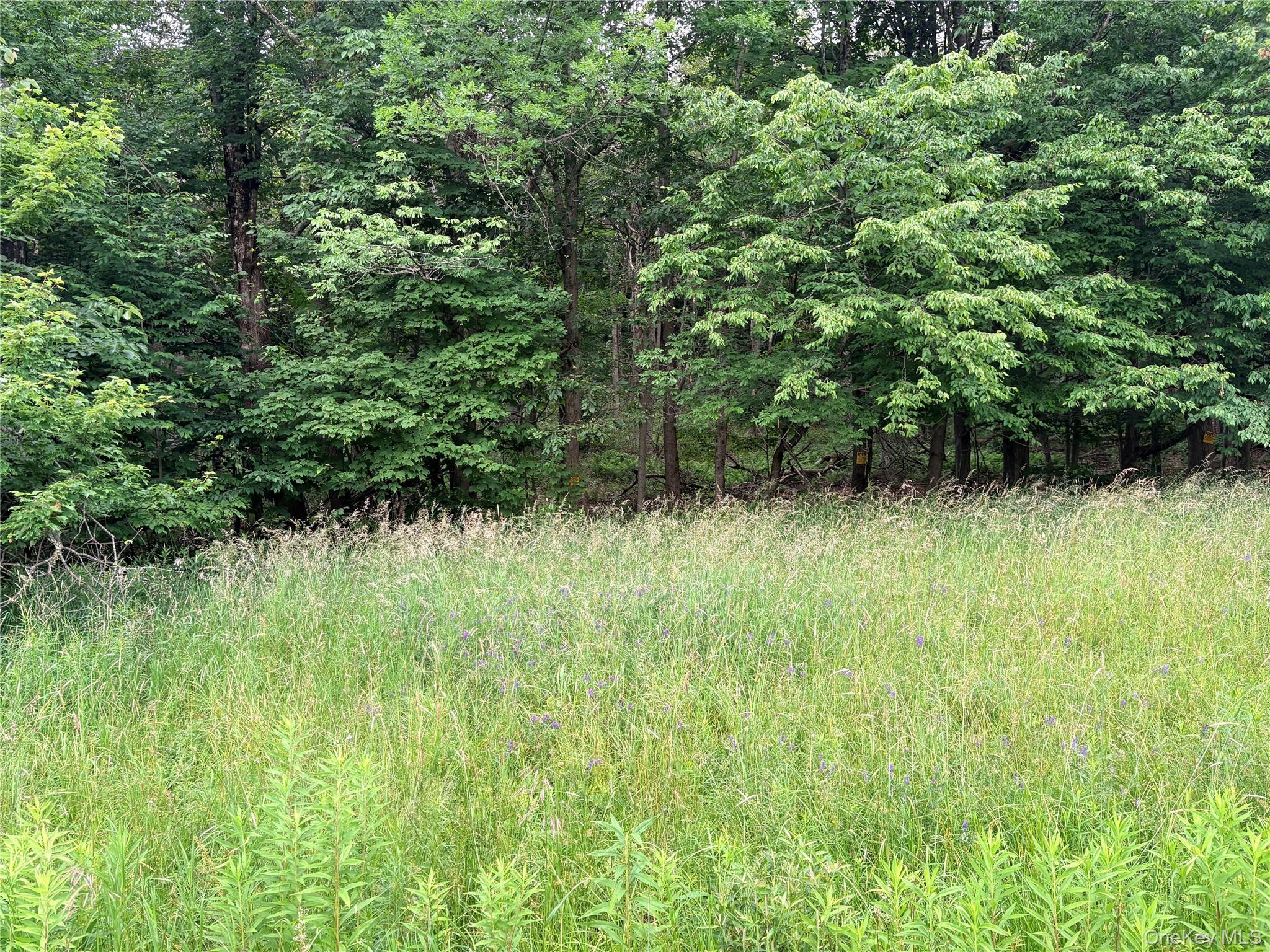 84 T R Fremont Center, NY 12736 - Photo 3 of 3