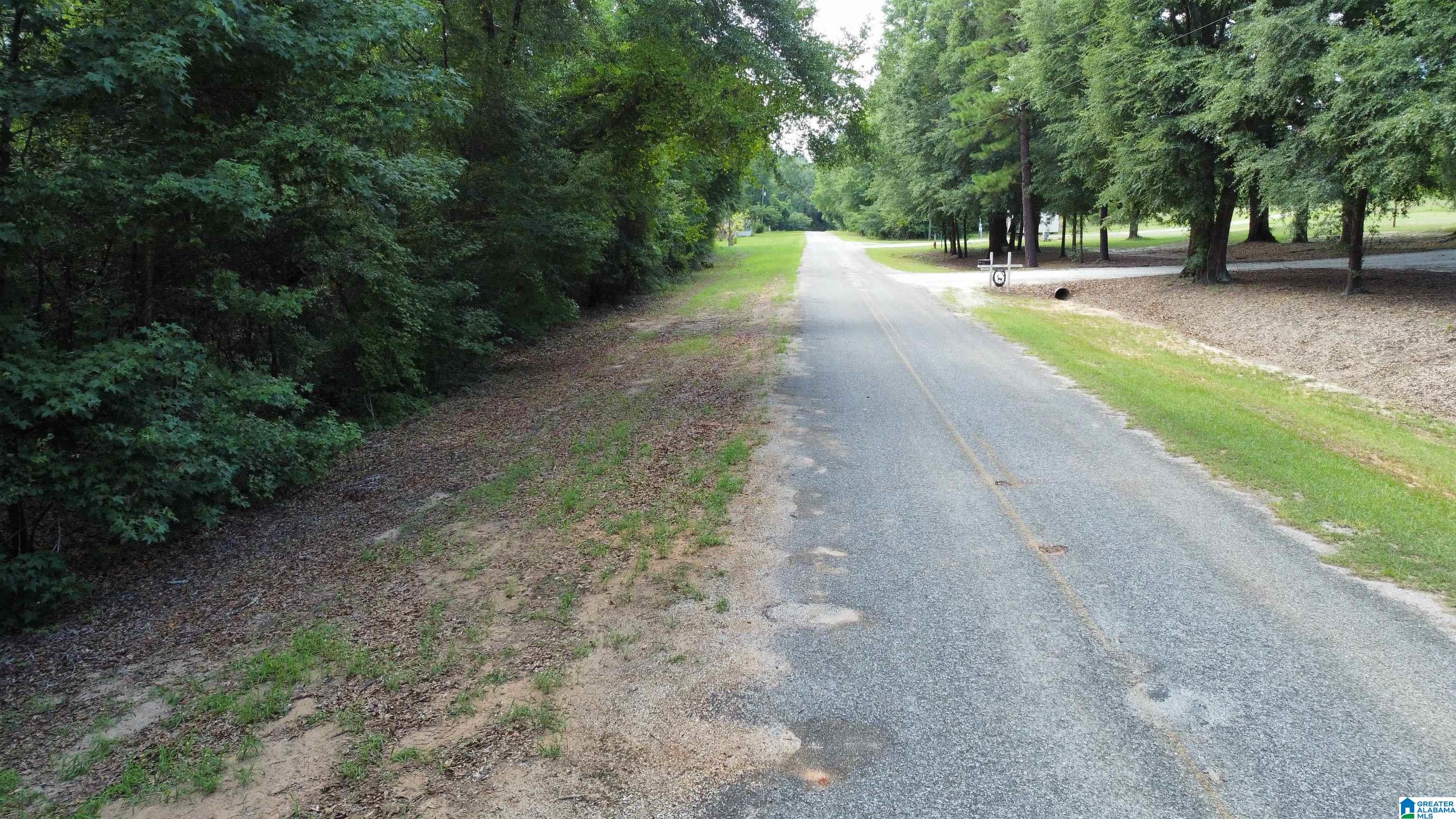 0 County Road 65 Abbeville, AL 36310 - Photo 2 of 24
