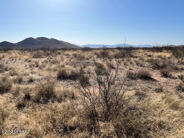 0 North Morgan Road, Unit 42 Pearce, AZ 85625 - Photo 1 of 15