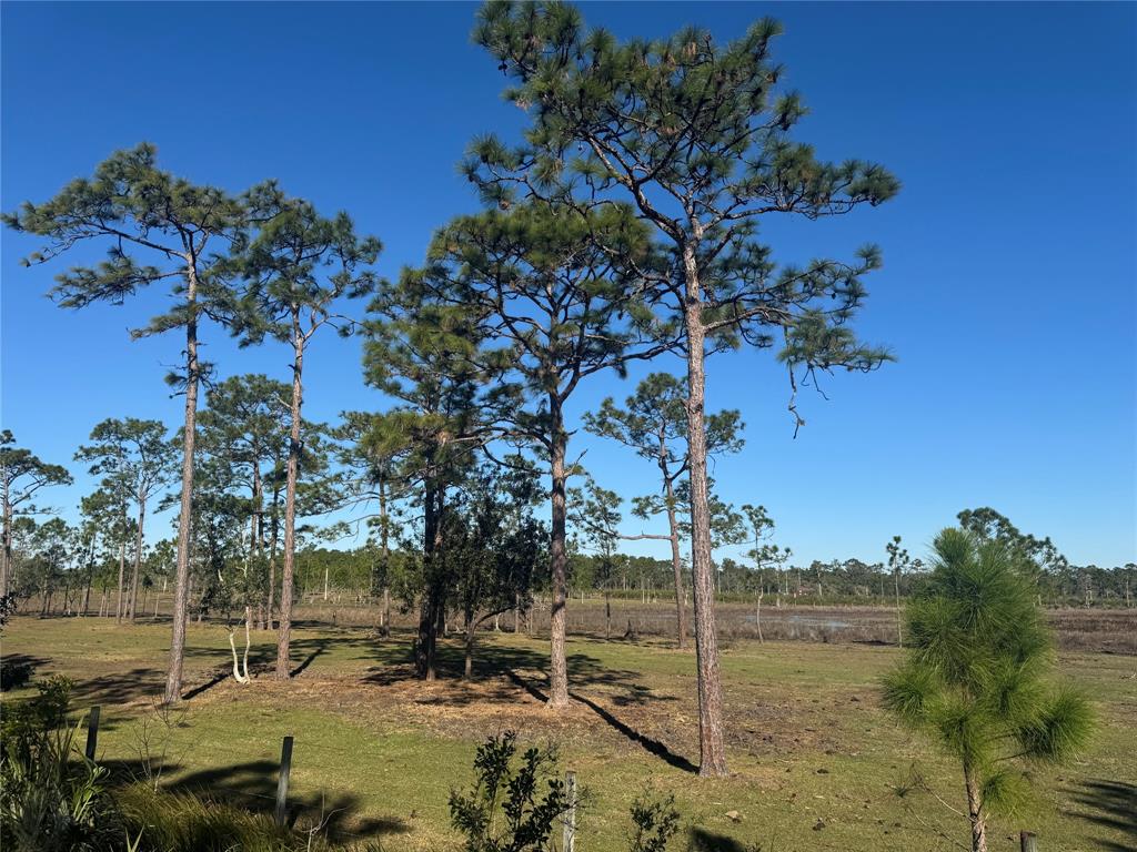 Tbd Us-441 Okeechobee, FL 34972 - Photo 1 of 6