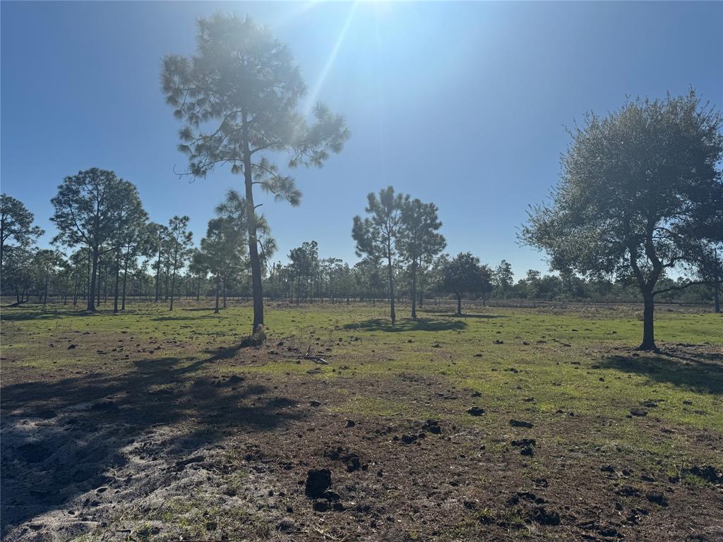 Tbd Us-441 Okeechobee, FL 34972 - Photo 6 of 6