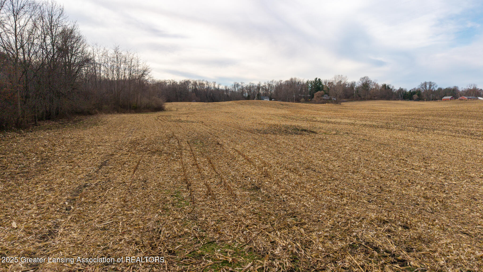 Vl Windsor Highway Dimondale, MI 48821 - Photo 22 of 31 Windsor_Hwy_37_ACRE_BROCK-22