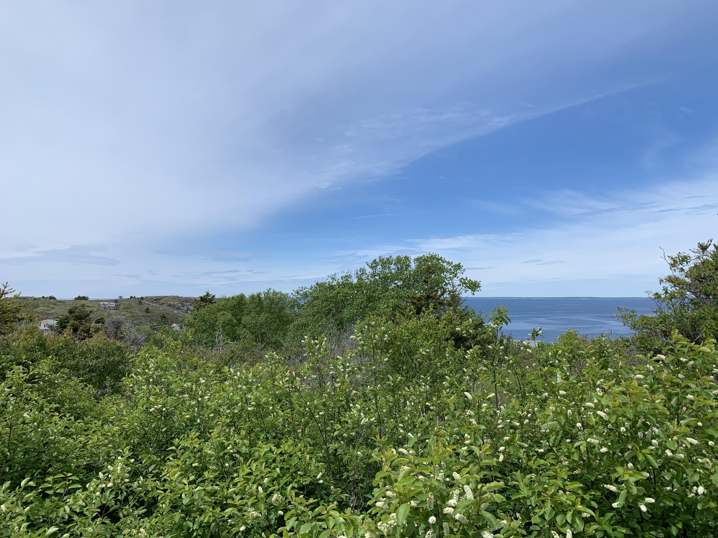IMG-5667