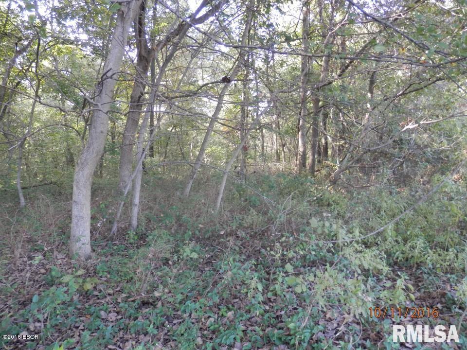 10700 Rock Creek Road Pittsburg, IL 62974 - Photo 11 of 21 Gallery Image 11