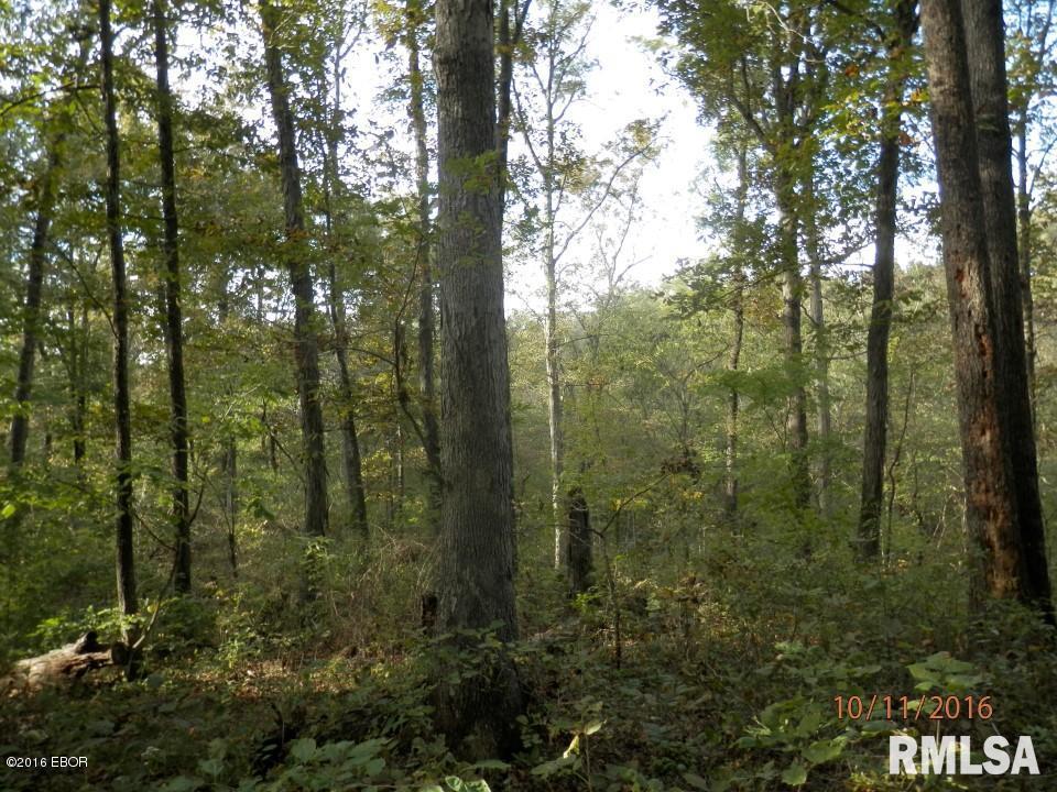 10700 Rock Creek Road Pittsburg, IL 62974 - Photo 19 of 21 Gallery Image 19