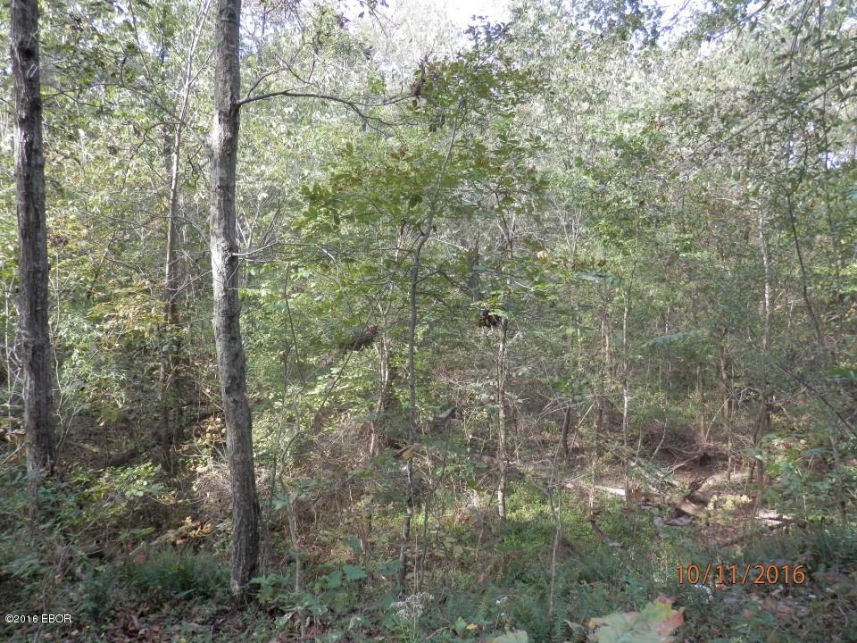 10700 Rock Creek Road Pittsburg, IL 62974 - Photo 21 of 21 Gallery Image 21